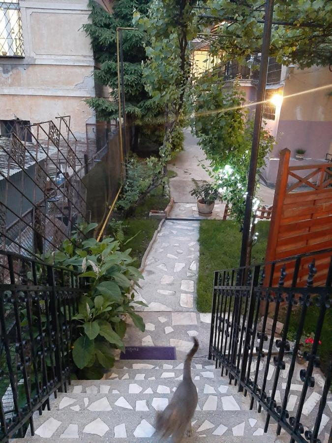 Piccola Italia Casa Racovita Cluj-Napoca Eksteriør bilde